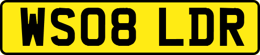 WS08LDR