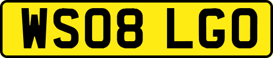 WS08LGO