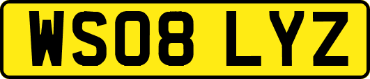 WS08LYZ