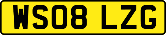 WS08LZG