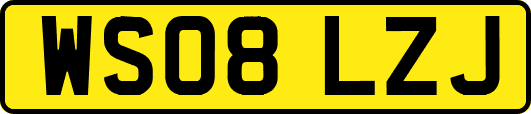 WS08LZJ