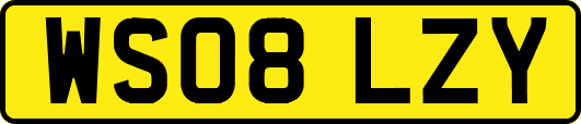 WS08LZY