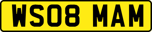 WS08MAM