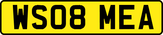 WS08MEA