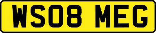 WS08MEG