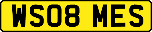 WS08MES