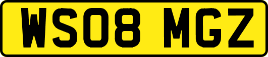WS08MGZ