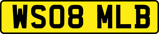 WS08MLB