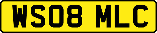 WS08MLC