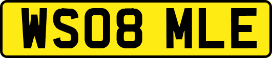 WS08MLE
