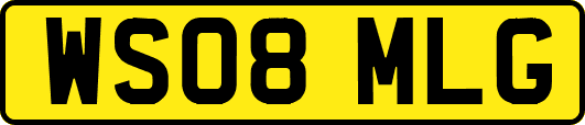 WS08MLG