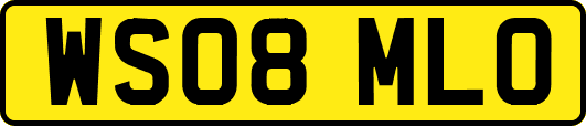 WS08MLO
