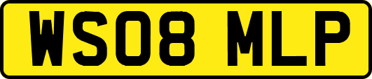 WS08MLP
