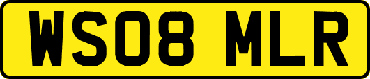 WS08MLR