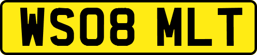 WS08MLT