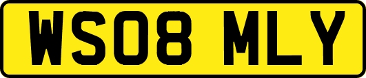 WS08MLY