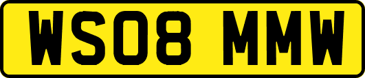 WS08MMW