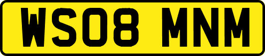 WS08MNM