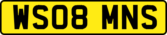 WS08MNS