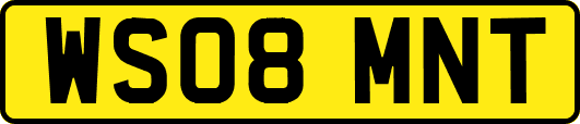 WS08MNT