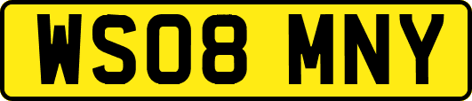 WS08MNY