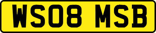 WS08MSB