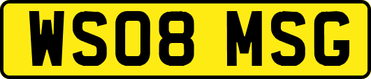 WS08MSG