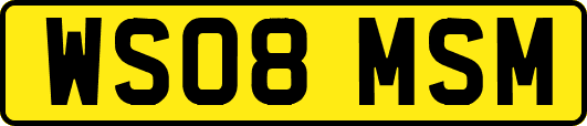WS08MSM