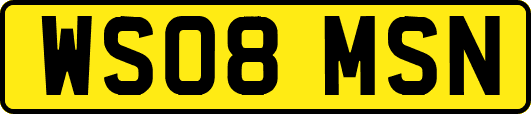 WS08MSN