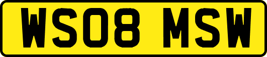 WS08MSW