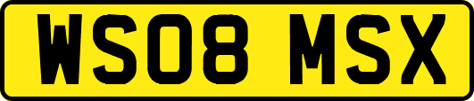 WS08MSX