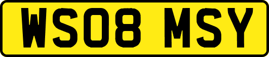 WS08MSY