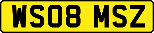 WS08MSZ