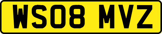 WS08MVZ