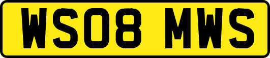 WS08MWS