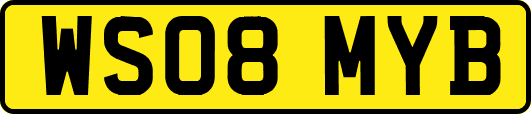 WS08MYB
