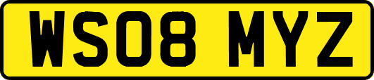 WS08MYZ
