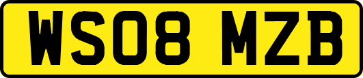 WS08MZB