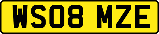 WS08MZE