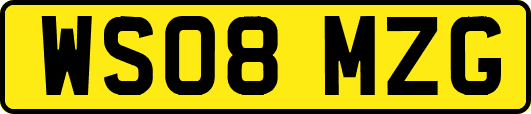 WS08MZG