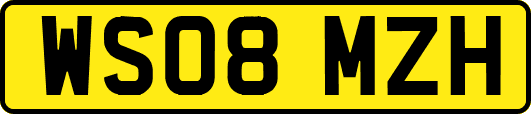 WS08MZH