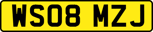 WS08MZJ