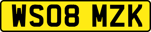 WS08MZK