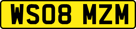 WS08MZM