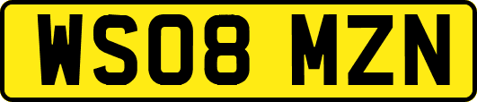 WS08MZN