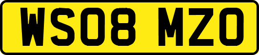 WS08MZO