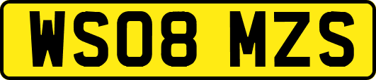 WS08MZS