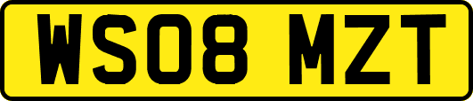 WS08MZT