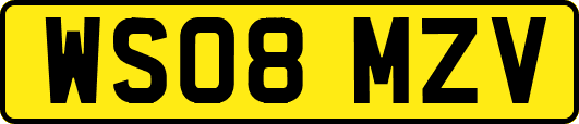 WS08MZV
