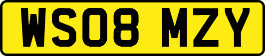 WS08MZY